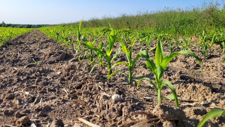 20230604_181309 (1).jpg