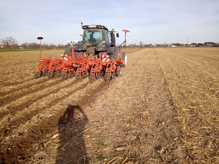 IMG_20250410_172053_364 (1).jpg