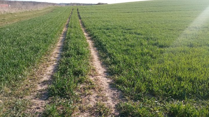 WhatsApp Image 2025-04-02 at 17.08.31 (1).jpeg