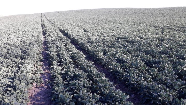 WhatsApp Image 2025-04-03 at 17.16.03.jpeg