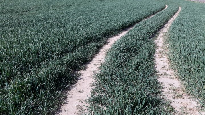 WhatsApp Image 2025-04-17 at 10.46.21.jpeg