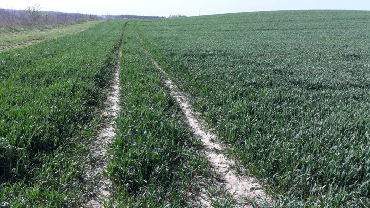 WhatsApp Image 2025-04-17 at d.jpeg