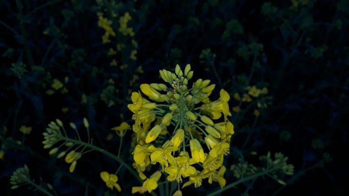 WhatsApp Image 2025-04-18 at 19.57.07r.jpeg