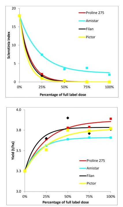 rzepak zgnilizna.jpg