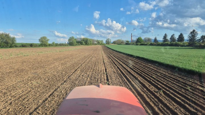 20250422_175539 (1).jpg