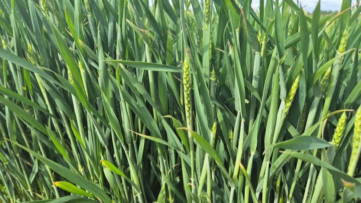 20250517_092323 (1).jpg