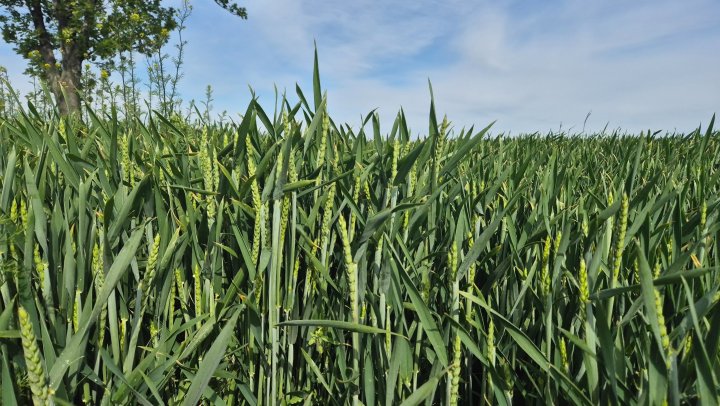 20250517_093347 (1).jpg