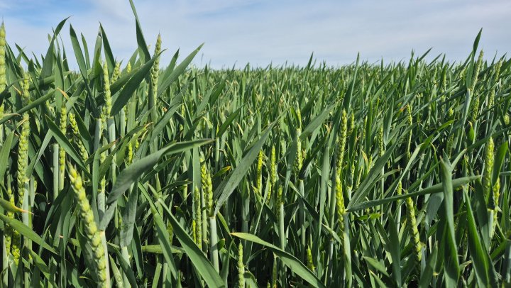 20250517_093352 (2).jpg