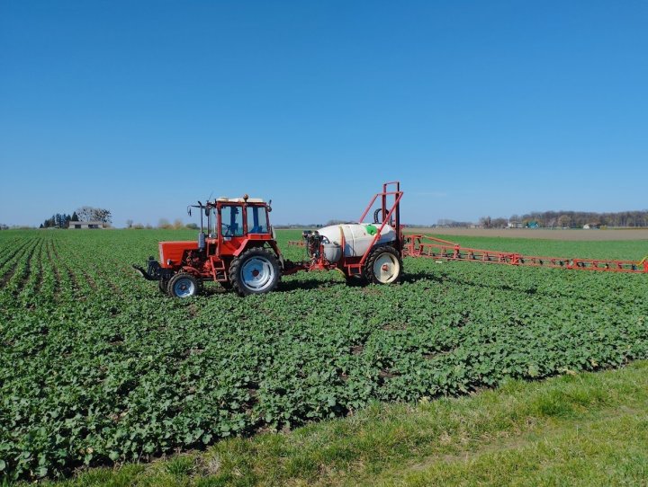 IMG_20250403_113515 (1).jpg