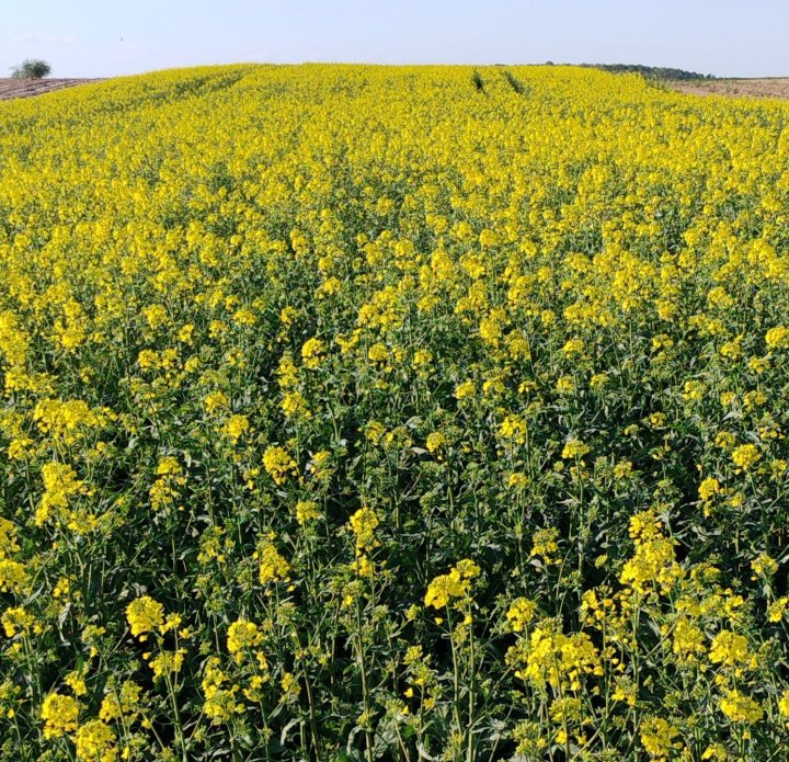 IMG_20250423_172329547 (1).jpg