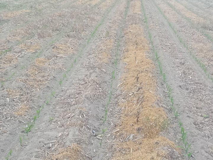 IMG_20250514_193243_143 (1).jpg