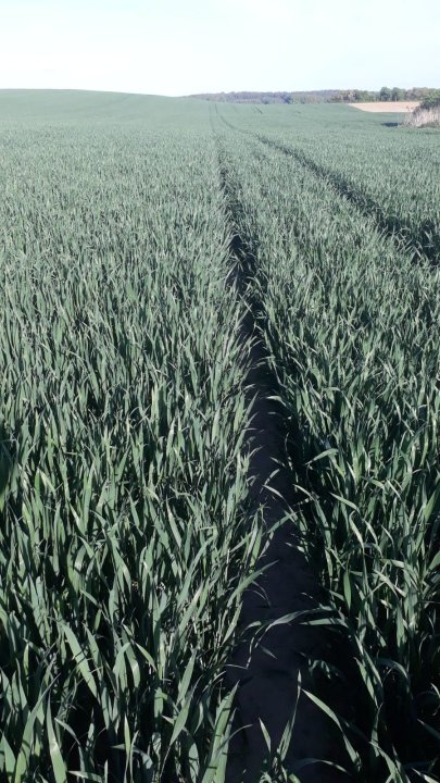 WhatsApp Image 2025-04-30 at 20.48.33.jpeg