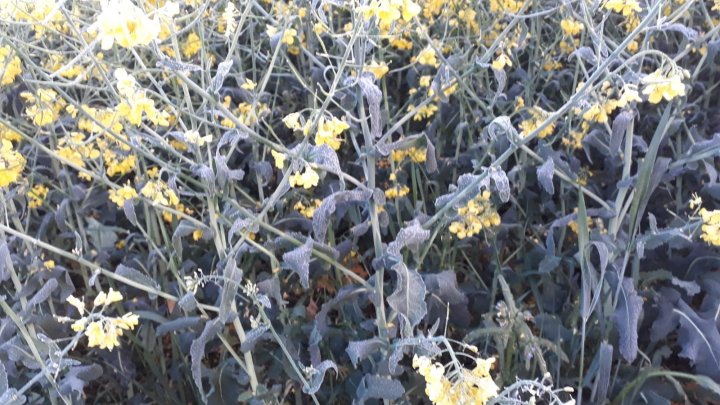 WhatsApp Image 2025-05-06 at 06.04.47 (1).jpeg