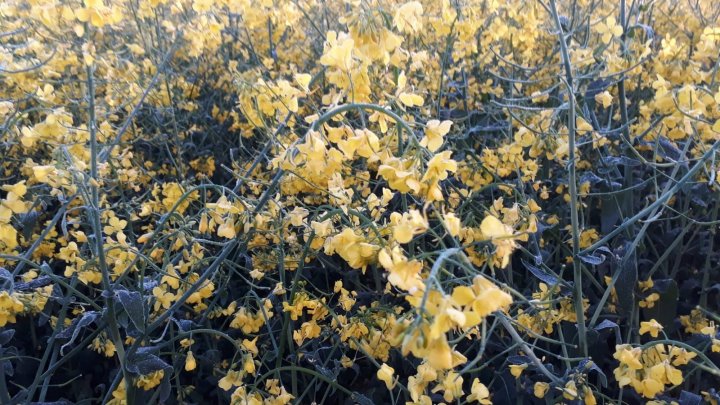 WhatsApp Image 2025-05-06 at 06.04.47 (2).jpeg