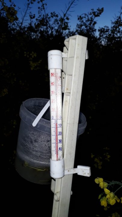 WhatsApp Image 2025-05-06 at 06.04.47.jpeg