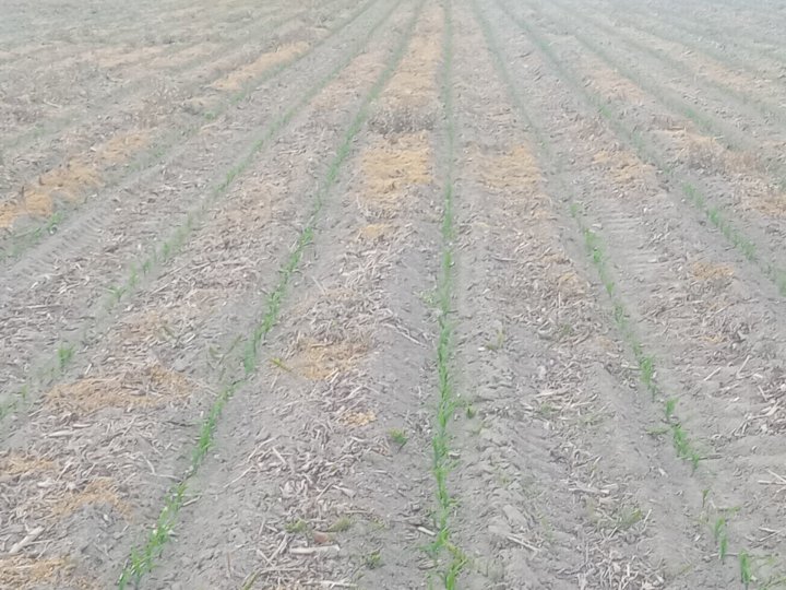 IMG_20250514_193228_135 (1).jpg