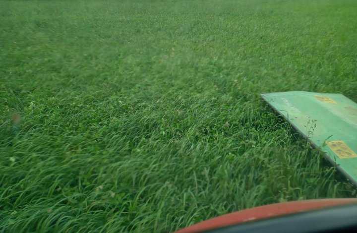 IMG_20250618_165358_8 (1).jpg