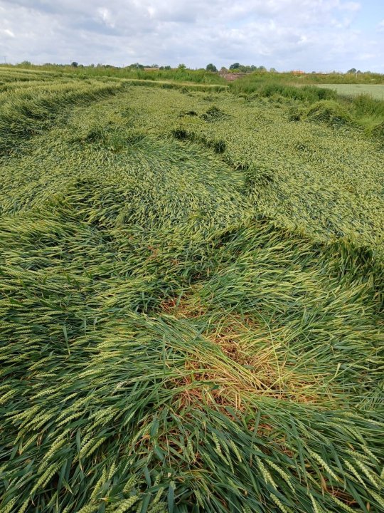 WhatsApp Image 2025-06-24 at 09.31.01.jpeg