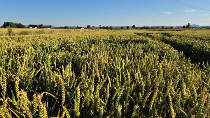 20250704_192139 (1).jpg