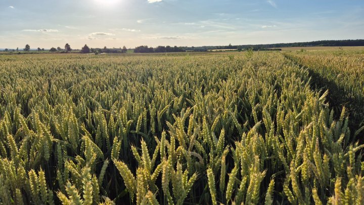 20250704_192202 (1).jpg