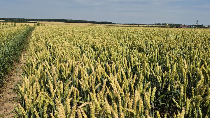 20250706_105622 (1).jpg