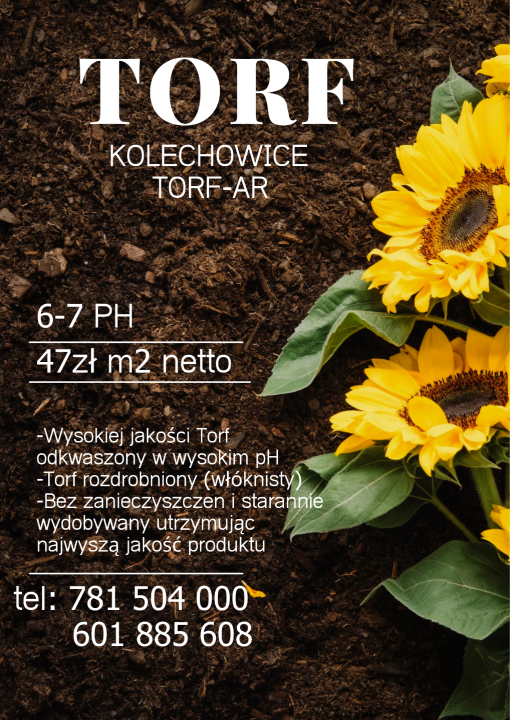 Brown Bold Poster World Soil Day_20250720_090913_0000.png