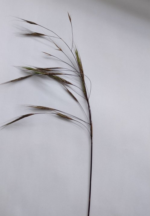 IMG_20250713_141108 (2).jpg