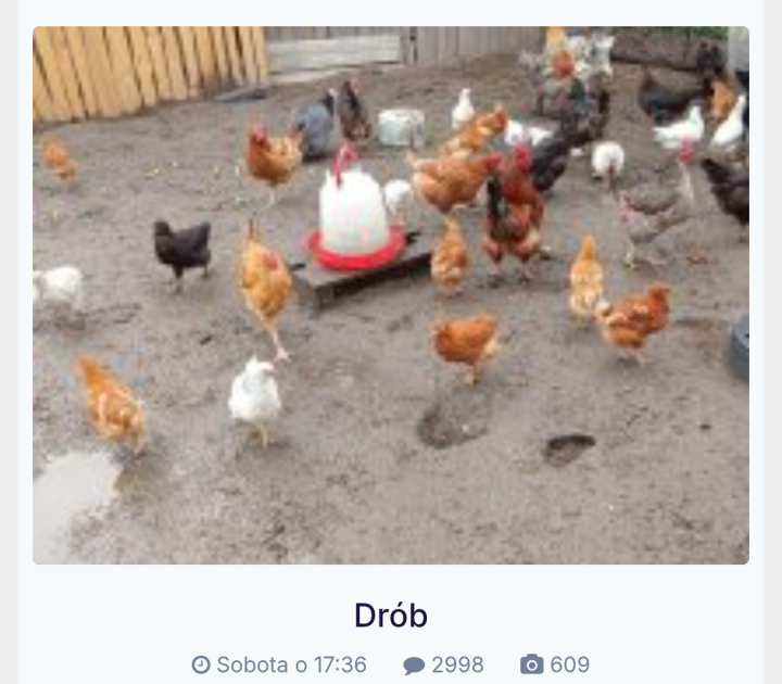 Screenshot_20250703-195251.Opera (1).png