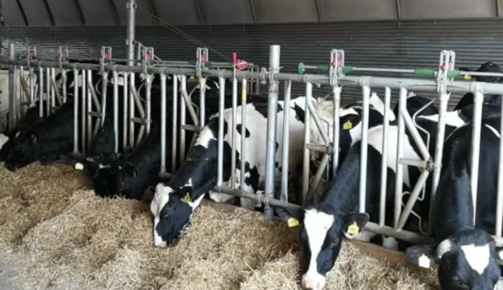 Screenshot_20250721-081416 (1).png