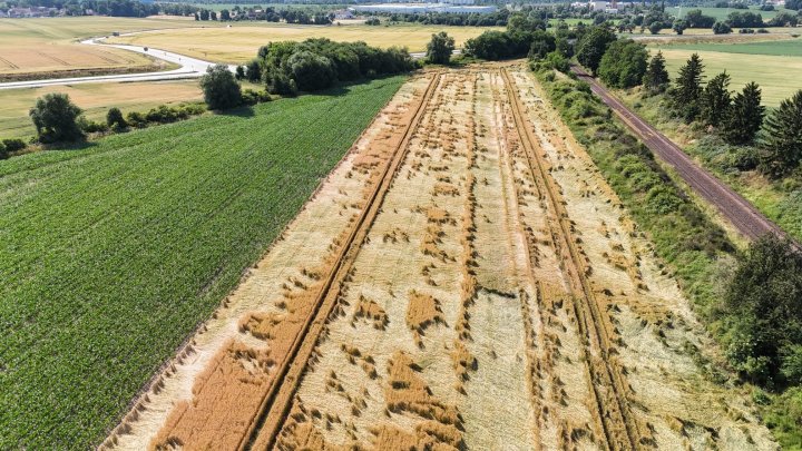 WhatsApp Image 2025-07-03 at 09.59.31.jpeg