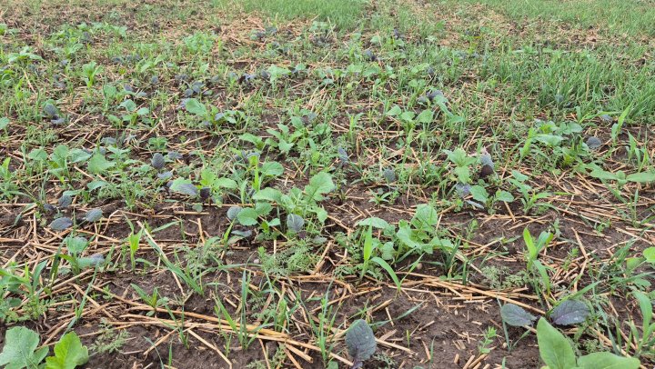 20250830_165520 (1).jpg