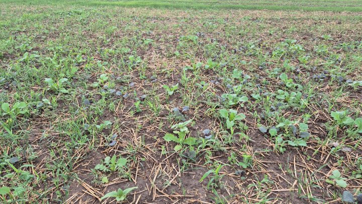 20250830_165527 (1).jpg