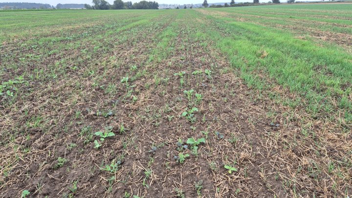 20250830_165553 (1).jpg