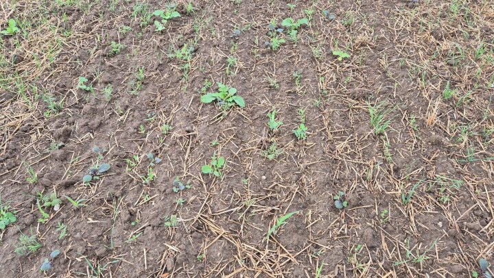 20250830_165556 (1).jpg