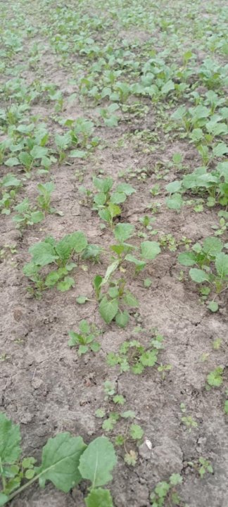 133ceb65-abad-4571-a8f3-5d6387ed9d27 (1).jpg