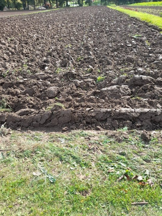 379658434_3501900146692733_268833584740296253_n (1).jpg