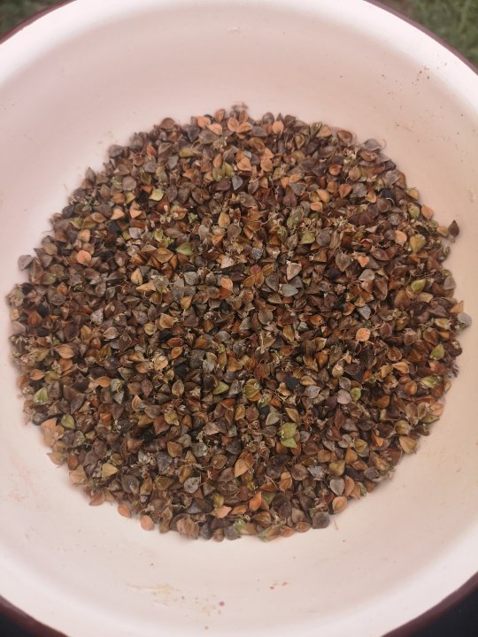 IMG_20250908_164005 (1).jpg