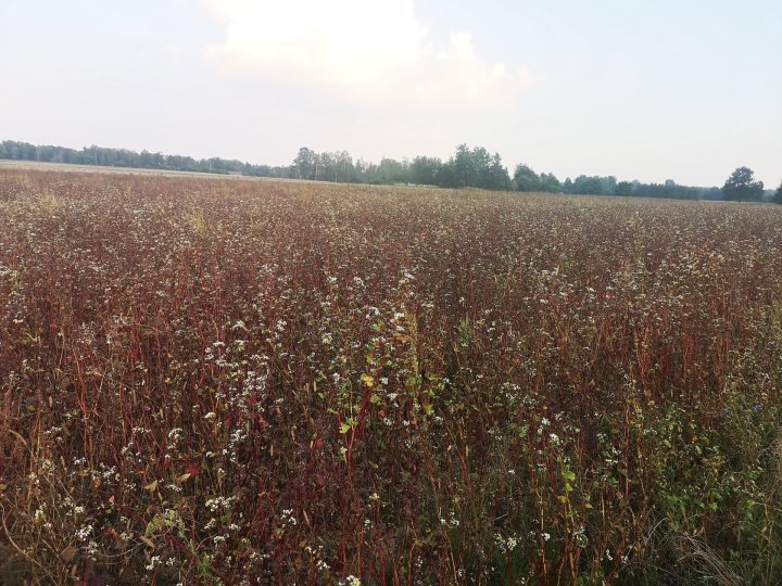 IMG_20250909_175551 (2).jpg