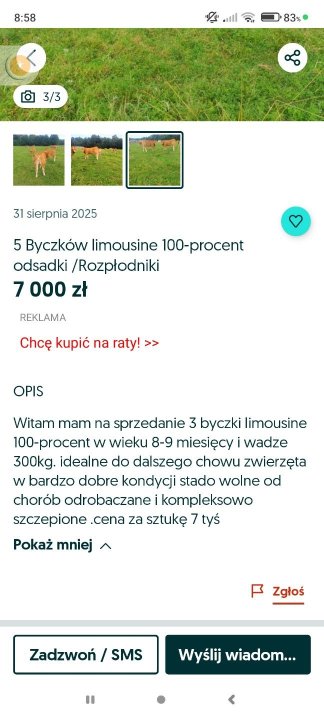Screenshot_2025-09-02-08-58-23-273_pl.tablica.jpg