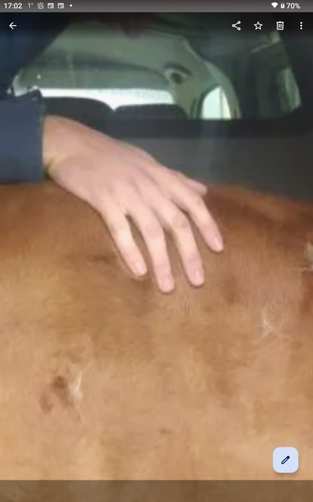 Screenshot_20250406-170259 (1).png