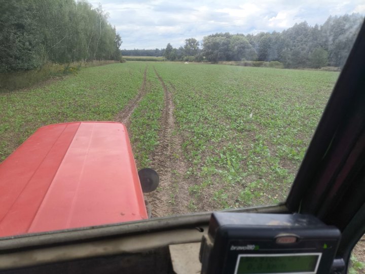 Zdjęcie WhatsApp 2025-09-18 o 18.06.39_29384c51.jpg