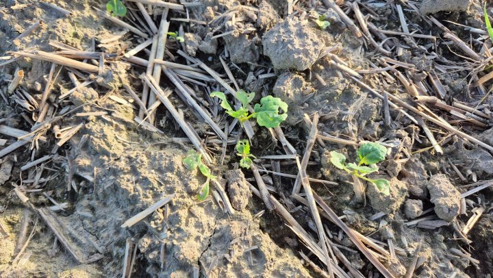 20250920_174805 (1).jpg