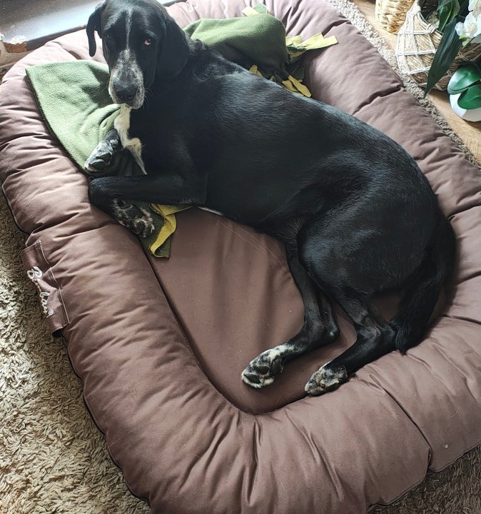 IMG_20241006_130659318_HDR (1).jpg