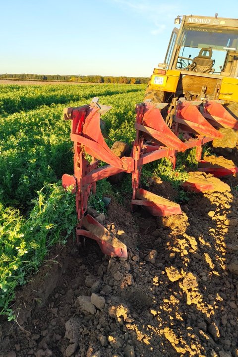 IMG_20250924_175534976 (1).jpg