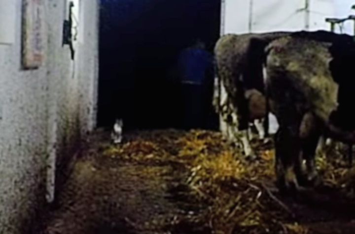 Screenshot_20240204-080131~2 (1) (1).png