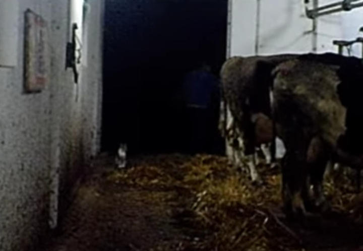 Screenshot_20240204-080131~2 (1) (2).png