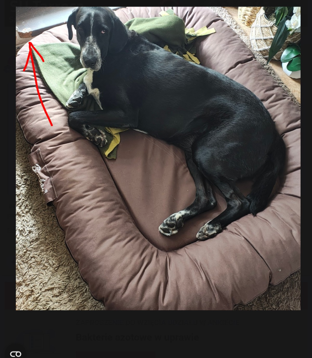 Screenshot_20251026-153942~2 (2).png