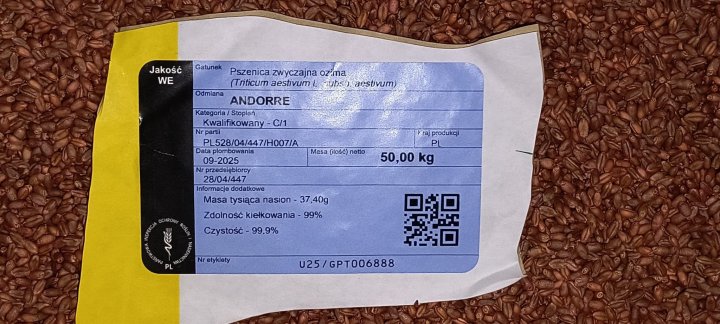 WhatsApp Image 2025-10-07 at 19.29.10.jpeg