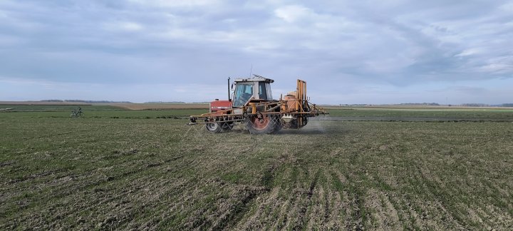 WhatsApp Image 2025-10-21 at 14.26.58.jpeg