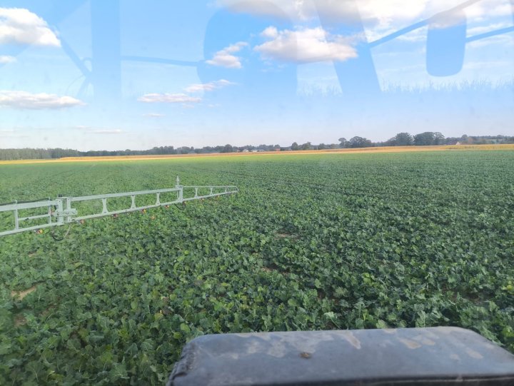 Zdjęcie WhatsApp 2025-10-03 o 17.14.54_dfd4f284.jpg